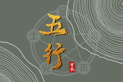 紫微抖数排盘 连山易命盘解析 命盘神煞查询 八字基本命盘查询 测紫薇命盘详解 紫微星预言原文
